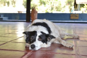 atibaia-pedra-grande-morangos-102.jpg?fi