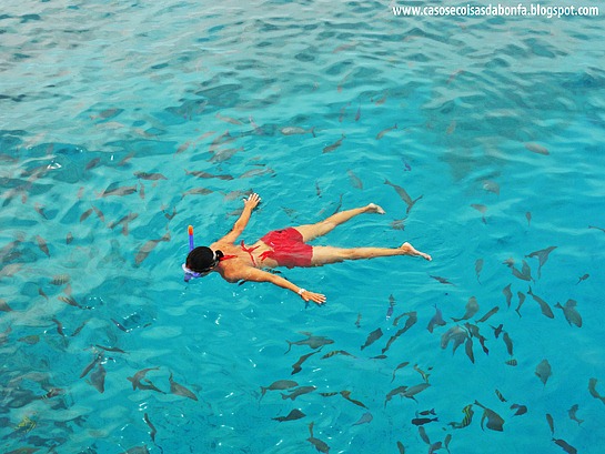 DSC09425%25255B5%25255D.jpg?imgmax=800