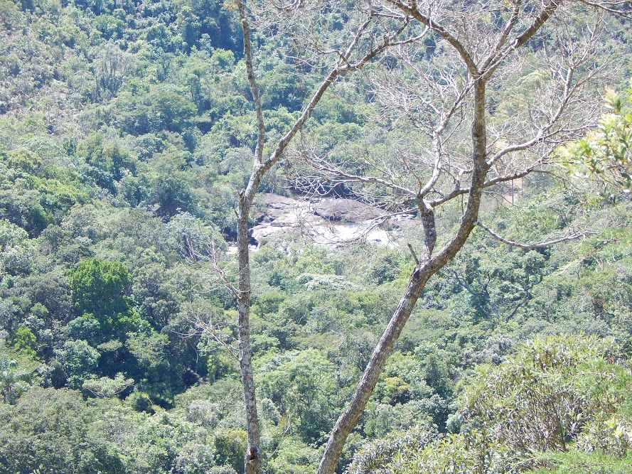 hIGNbv2HUZSs4eY-GO-FjTyDpsGffgjGCfFKTebd68P1fNNLvISTtF7V8UQ3s-5103pyR2yBouJVTZBRbn1MBUZMYE8MDj2QcPKe_lU1ZgqEjY2wZ_vYe-QopmvOwvpgU5BOt9xAe7v1-9TiKL7NVH9Rj68x6TeknsLSgsBRumQJS0BVThMWRlW6DEDVclS57tcNF2zh2wjuIR3cJy9ss7LlHmk6dix2yaiqZecq08u1Os9p5h0HfvYHDdNY1W_ltEVkLvC8YxVwVsjcmxvtAGhMr_yJaiU4QaRs4E1MPk9k95_ajvIS3bwZhTnD6089QVGRqKtP9YqL_ZMdUBe_3s3eN-3qcko1exivS_e4NUTHP-cC9UoerOAAAv2ojg-fIW3RTNWVgG7wiy0a4KZfmKWZyT-f8ey55TJoSvbNx7v0QQA89B9NrElt0m2YNPNJXe91gakHmdbaaqFDl0Dvo6SKceOPskQh9_3A5hMoF7LtemOrldUv_HO6KrrnpxlM3QUZXr5Gm9NRgTevgh4Cf4SDT01dlYtIbsZV42xwSJb7tZMgf1MpBuoV1fJePaQS4TY0=w890-h667-no