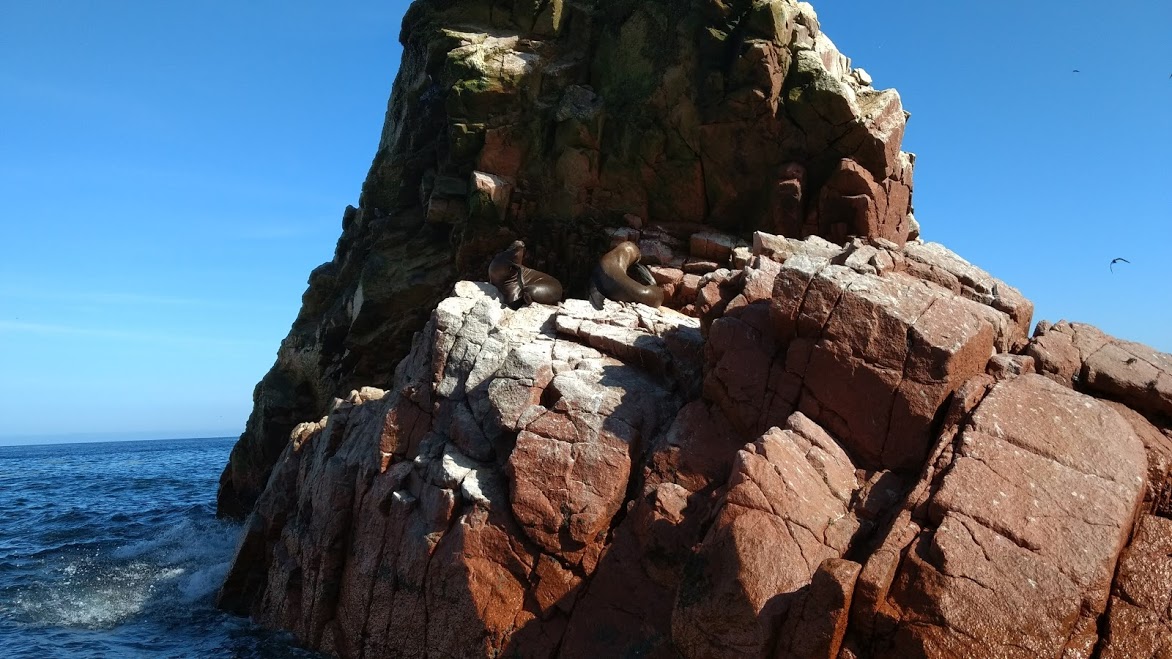 LWmR6NhB9e0GVTSnAoQvxeoidELY1HwxyGKlhLLQYvfX33SU7fjVPJ4Y2VWMVwzGTuGMZnBScdUcY_CV5746EvTg0hJb_2OyZqFQHSWzEiqPBL1bhGbpNgtQSUQ0yiAjRzJvQ1FquqpW_w-Iw054kPe0oJKbiQ6AeNhaZ0U1IM07_--pJSO7riPupXx0WimLaq2U4TOO_mpDcWjiyx-5eG0JKVUEFELceNQMVIkRI5eZKDR8vH_JOQ8QIDvKQNR0ZH-sr0LSrB5w8WZD0eXvldDDPf42yqjeC5Q9c12FPvW79LAZPlFGeW9j4ZGl7nTly_i_-arSg6rZChsCiJG4zvgnRljIkiBcfJ8F4nJLo4p3Gnd6h7C2X8V5o75BKe5_PKPo3iF0fiWxwtRHGTUyrxEVLvRusIA9SVlk6e0_QjavffFWI9GFZHoRDDczYdk_nMftgGYQ854AjWvV3t3s97dC4OefIKPbWEQa2DnVeFtOQTqZxpIV8spkBDFmMYMOu0AZhh5-ZjrUy9dEJHOViR9DVvnoBUZximSxY5ZKnD21bpULSK6E5_acYkEiPnIZPIRi7oY7aLtmvKfimbyropfjta4HSGuXlUVW1fBXH0B2nWvjH9mXrYdATQzt70zPIo3aFMRsPYRo5DAenP1CiY0n6V_66mFiM6_A=w1172-h659-no