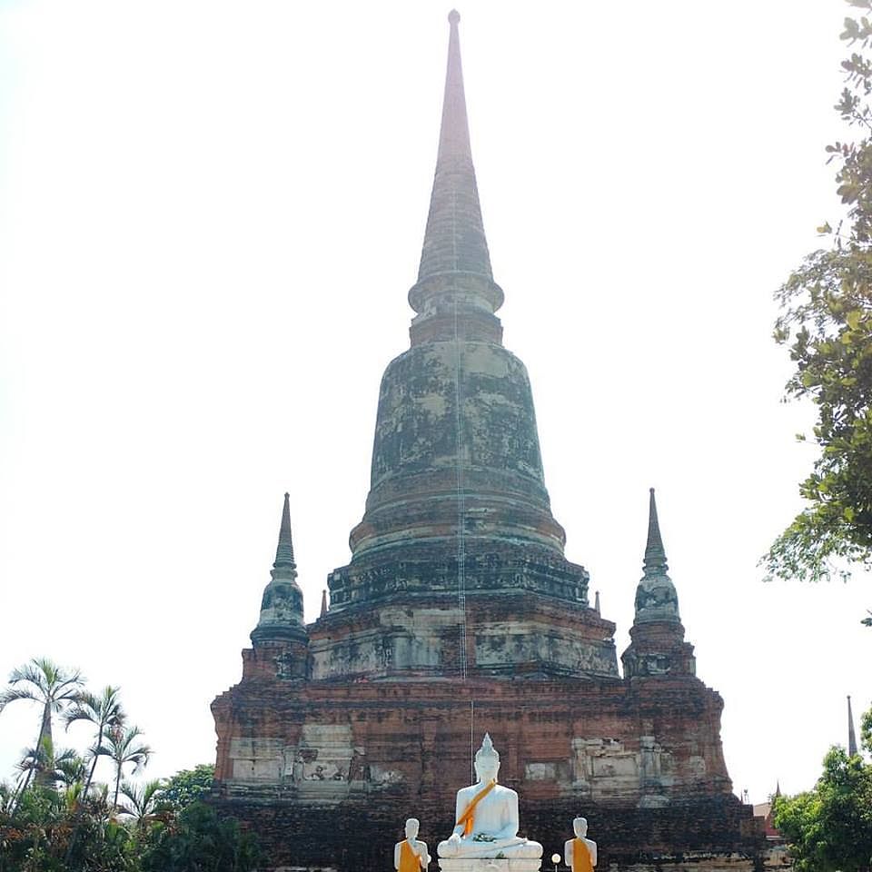 11_online?async&rand=0.676520940373893