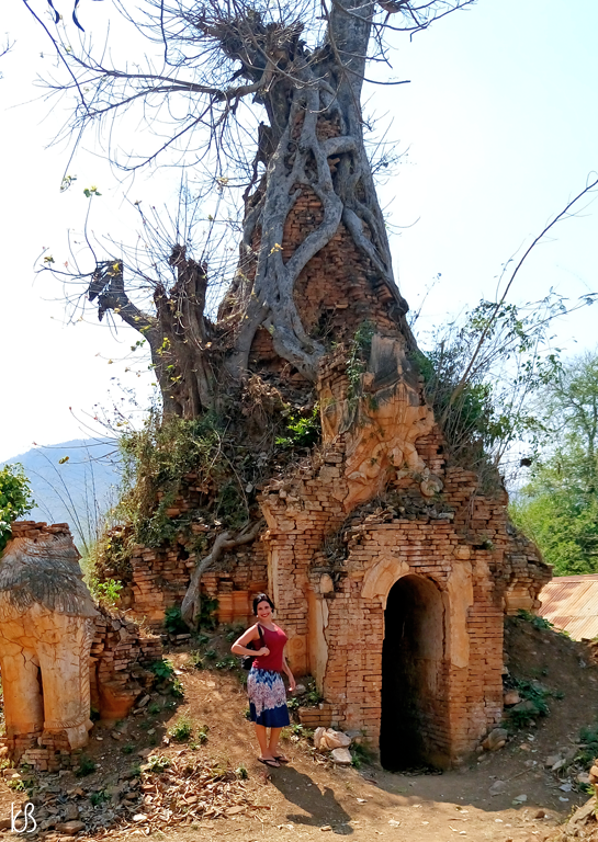 DSC_1636%25255B2%25255D.png?imgmax=800