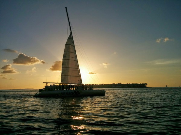 IMG_20150721_195209.jpg?resize=600%2C450