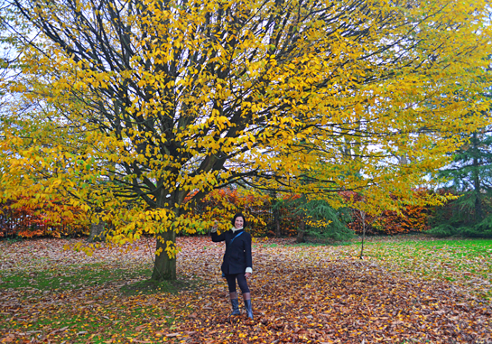 DSC_0134%25255B5%25255D.png?imgmax=800