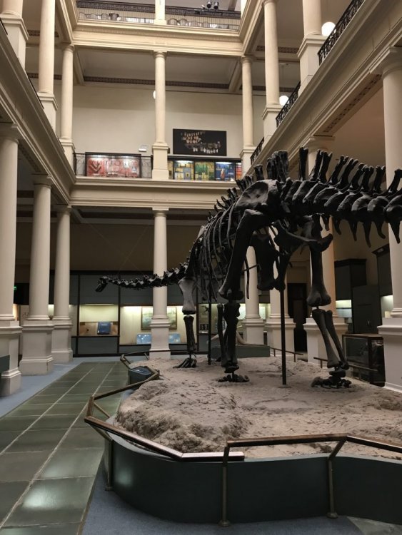 IMG_5138-e1538765893364-768x1024.jpg?res