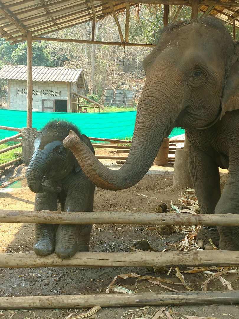 IMG_20160413_095543244?async&rand=0.17300020903280777