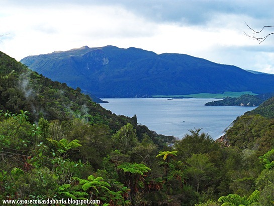 IMG_7223%25255B9%25255D.jpg?imgmax=800