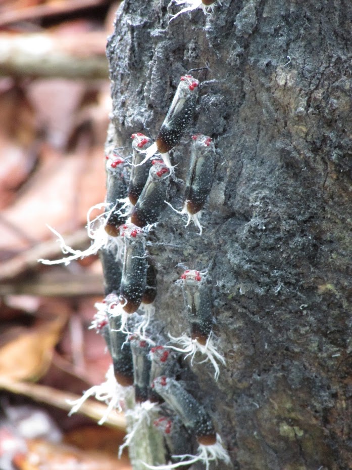 Hx2GG08msbZ_sax0-uxsscs3pOlInaaQ-u7ID_TTeWnKDymaiR_JTUhRQXAlovW6cvCIJycITpBNnIbqn1Y0XzPa1F8ukMSb9dqTkPJgZH-SMuXFZlK02PUJlW1hu0Pz5ECo0ZqW7s_-6r2cTKR1U2Pf4rUuWOl6RFICPvcorvVD9NaR0dtE8aerLPnOLLn7zpJDl9I9d4LRC5KHOjN9MPaa3-lqbqzqXQpQdj3BJocMbBNfhIx8N91BNjwGFvxjGnNhK8x3lvc5UnkbResHIXV8Xn1p4NGu60oqnmKGc_Qbr7edqlz1SifoIaitLkgYt7q5o25u1i-Pads6ETpbXhtfXTg74YRsKySz-j0l66RMPi9bcNlT75DgnZO8RR4IRkvXPV6KNgneuJEfnmNX4pwun0UUebc6slI2iu3Q_CwmsKbcv1wRZ9In0-W-oqP_ho9in2BxxBMZSNtc4D3SIddB8GSNi7TZnU7tpWBQisLZuUNuucdBLxZQEo9e5_lYB-Gd7l83jcSJQGNuUrvtC2rbhQpox7cDUcAIJO2ZHwwbLvm_24fNMCFKvS7itS8=s929-w698-h929-no