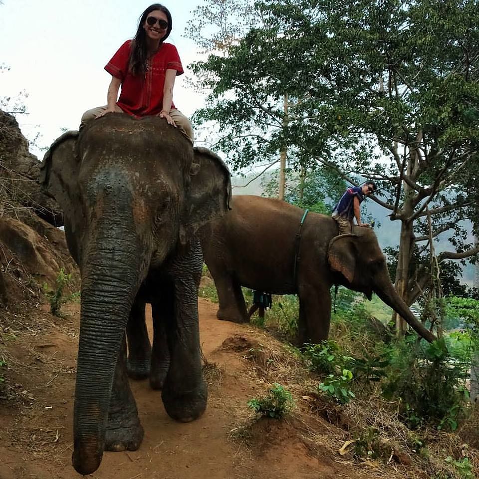 20_online?async&rand=0.3781929131311661