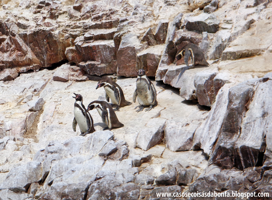 DSC07451%25255B4%25255D.png?imgmax=800