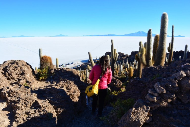 dsc_0497.jpg?resize=768%2C512