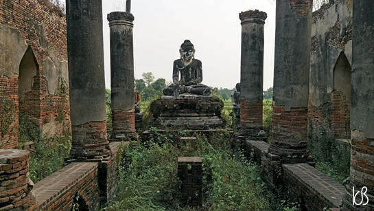 DSC_2417%25255B2%25255D.png?imgmax=800