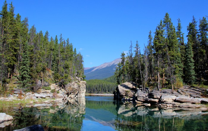 img_2206.jpg?w=700&h=440