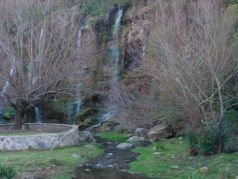 dscn1041.jpg?w=238&h=178