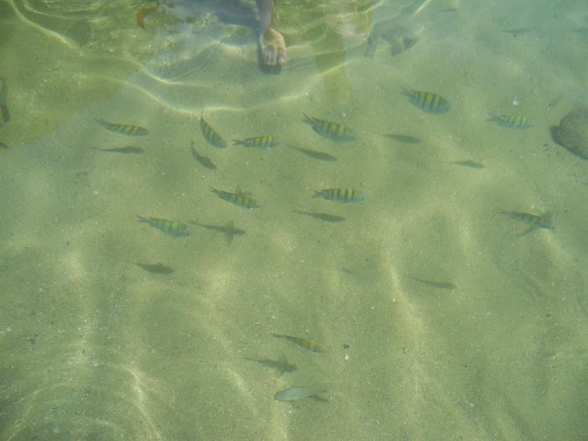 148428_538477942847690_143595199_n.jpg?psid=1