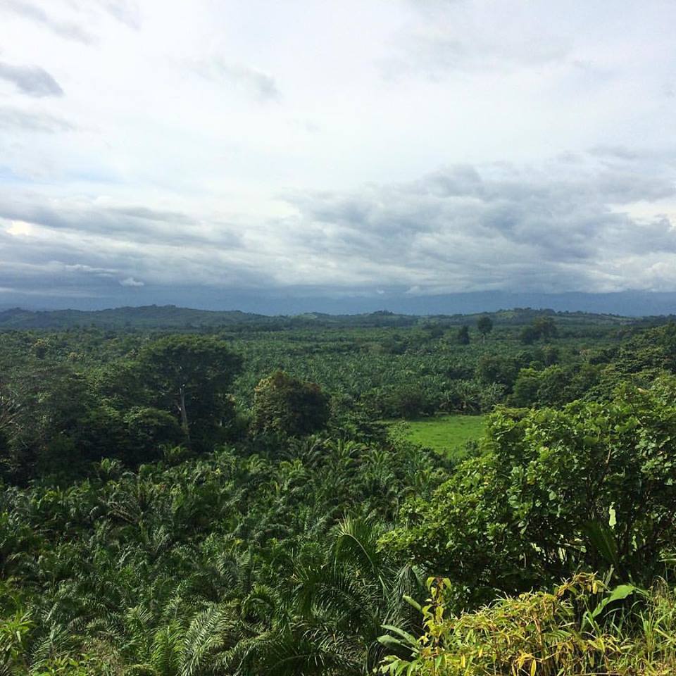 19875610_1392018080891280_317341315841541268_n.jpg?oh=e617a8d6bf74a1676f4412c09e358cbb&oe=5A0554E0