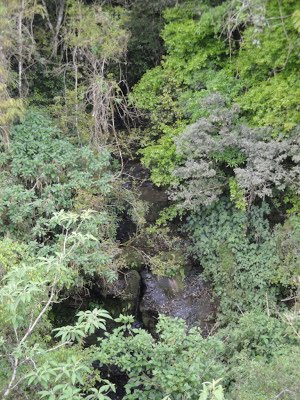 Ferrovia%20Trigo%206.JPG?height=400&width=300