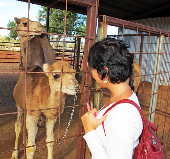 IMG_5762%25255B5%25255D.jpg?imgmax=800