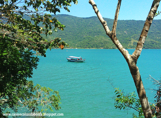 DSC_3482%25255B5%25255D.png?imgmax=800