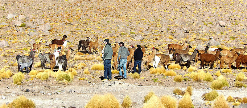 c2fc93_d7a7a40e36bf4f76b471f2224925e475.jpg_srb_p_801_352_75_22_0.50_1.20_0.00_jpg_srb