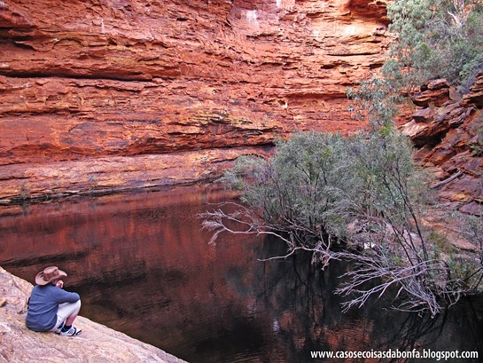 IMG_56733.jpg?imgmax=800