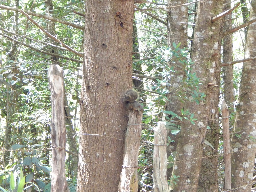 qCfn0fB8sHkDL1PjPvAwI_R0WIIJrC9aeQ274NNisjd4Suu_G_HHuLJoM7XKf1KF1oard3p4XyNlsjU5gQ1pjF9533Yxm5zsPSJHpv6ux_Tcj4e3KLQHf73eEAaL1ZAv1wrTTPmuq1x3MdVhJJBeZtUXah2qL-bRbomHRwaCbBMz8wFbpYK5BuZVSWIvFYpB0duSMIzmeTY-RA4PrhfyJozMqwSpezTD4UYU64QBzB30JxLWiPPYi4f3lr81zjRNar7O_sFi0CQtBsEjQYb_u7omhVwebLc42hyyhP7IICEe244g586gMZ2qiVhF7siB-kx-JPtUdbPeA0KalIcdECpo8ZIyUNy5tuvd9Bg8X4lxHk3c9FpRpaK88OpPXnls-JAspuAGeehleBdSYUK-GVZE-yRxetbyFTKSIbs-RgpuJ_Scu5SNx6KalrAYOgFBYgJkAAMaxHqO9K23XfQUoxpQEEp-XQ1n7QzV4ZmmxZdxqEHWJBOmUnZD-Kjgc-29nrTqLbJPNRxjqDDP-T0872xZzNvwA_TRJG8CxooG0Ct_gfVz3KsAVwWU-y-msU6ulzaT=w890-h667-no