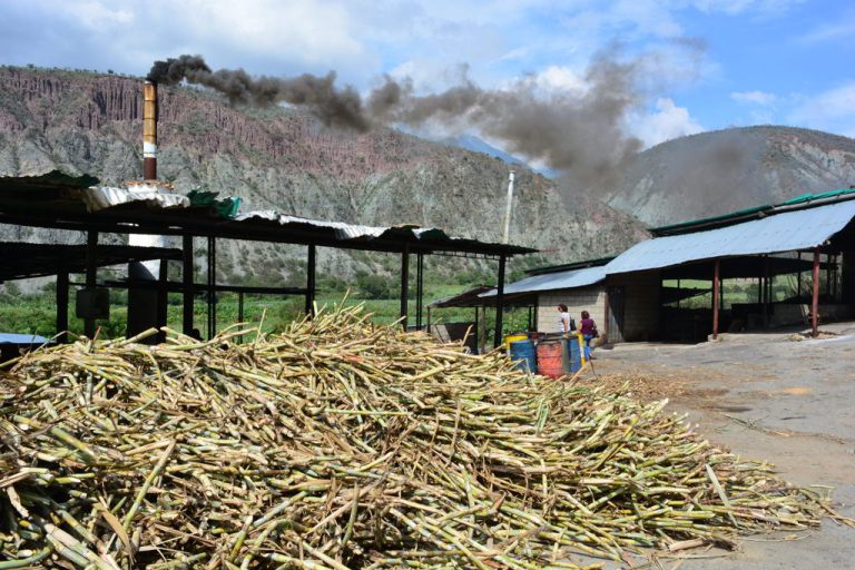 DSC_0348.jpg?resize=768%2C512