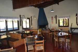 atibaia-pedra-grande-morangos-90.jpg?fit