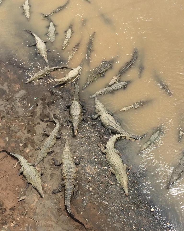 20046533_1399202480172840_7663386641259580684_n.jpg?oh=a99290e5a3c7b591646867a4fbd3914d&oe=5A06D783