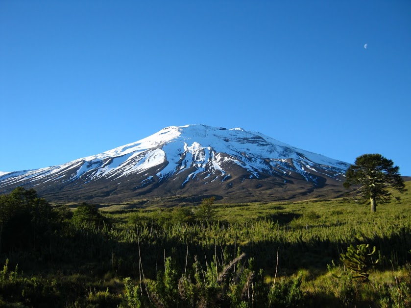 NZu0prtTGZfmFafq0FIZm9YeOKFngPGuXWc2AfOkTP7r1U0BJpWWRrd7A0X14h-G2X41TOYWzMSSqZTDkhYXmKOk8rqF6O5PAPR_NvAb9N7IrcR1uvjlnQXzpvEii3a4XZRF3EN9cgEcYkn8_UjSpqo_sZs6aDOyHyJ8izvchTnqCZafpIf5YutRd6jyIKuaVhtxz-1nugO89HFyafiBrLv7xAK1k-aW6fxNMdA2BMVqV3FpWxbY4sA_9wA0CFSVs2a0duPnd9IPztIIhBCteXOa2B6ih0gdVZYJxaRZ-atNmKfuprZt7LwGzz-63cwKtIlehzNoZK2alcpsfA7ezMqDqtNUB_amPOr9rIFukWvSlHj9719WMSXUPTxxh-TB47TwiDqHAJ51QDHcc93_pBfZVNkFyYSSPr2M_NjVazU5r_f2OSiFZUS7xR-kWFK5gv_vhFDK5oIL3yuYRrnnqv2KOxbHU6z9NwbdzaLK4y_HbWkZf8z8oRvoLQBpoXpQ6W56IW87GHQJDpnUhlzDiCoahFJIOP7Gzn6ZuHypXto_LETk4w7_XG-JWaLMCsk_QjEfqJtsJTlTaFEiMr1XzlT0aECpOQnuV4_V4Tgz=w839-h629-no