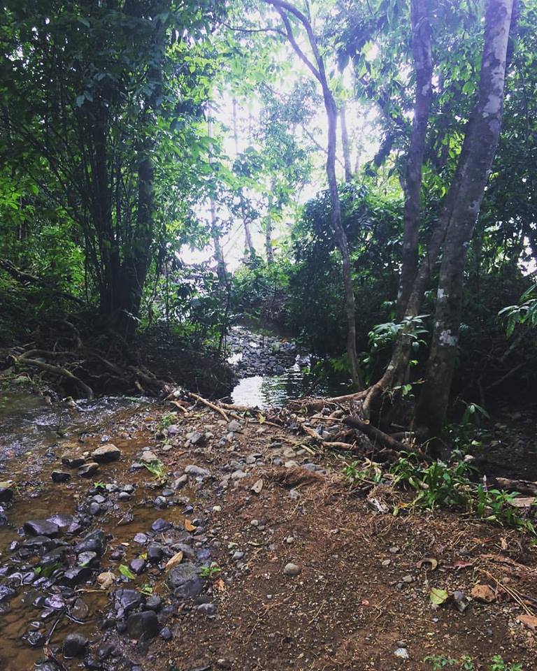 19884019_1392026377557117_3063220345230245988_n.jpg?oh=c2b0f96ea140431414f561ebf726de2e&oe=5A033315