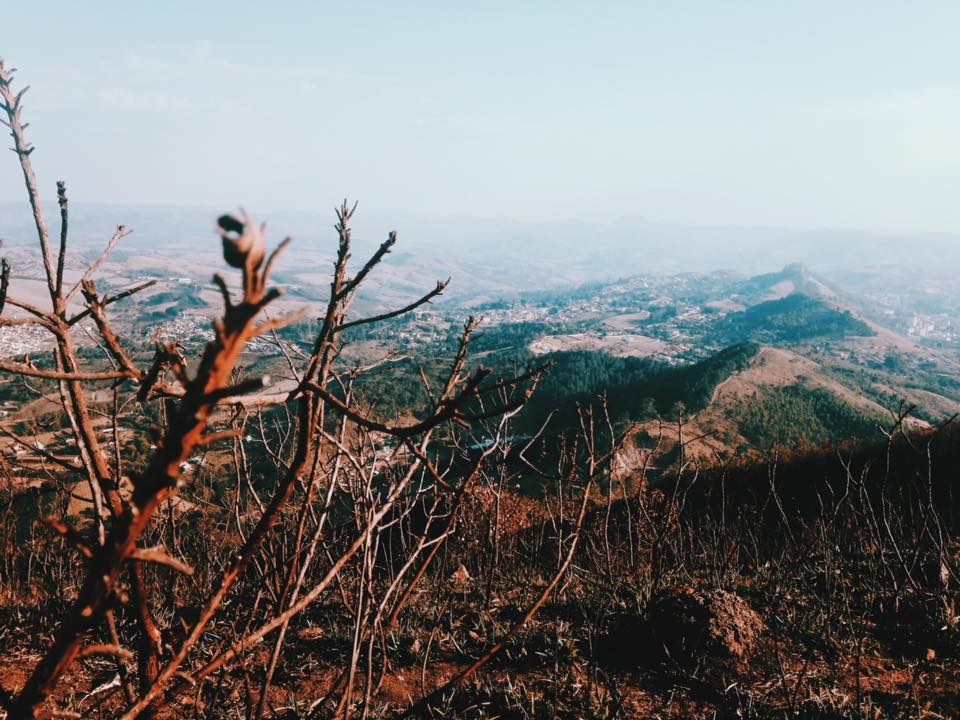 21557576_1426815244105009_30227922488916