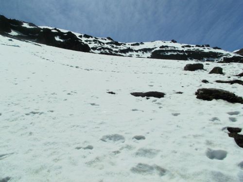 dscf0218-1.jpg?fit=500%2C375