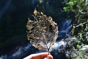 Fazenda Vitória São Luiz do Paraitinga Turismo Ecológico Camping Tirolesa Rapel Cachoeira