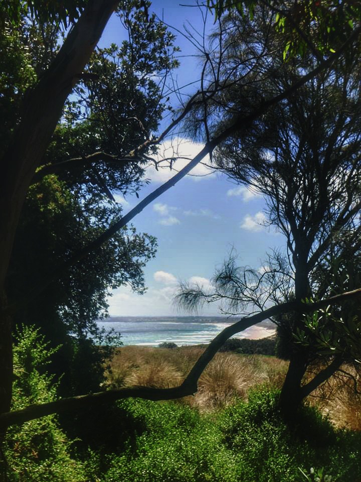 IMG_3607.jpg?zoom=2&resize=720%2C960