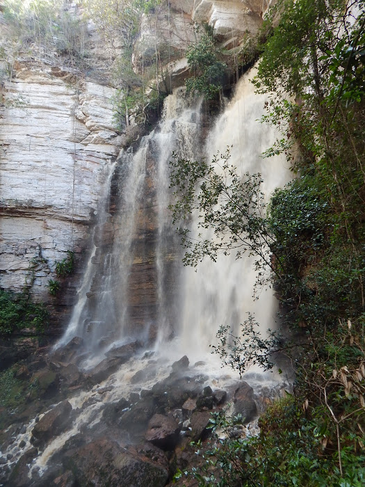 u3EZrIZ5xAiMVozaCWeloSYev0lPf0UDQ7_SQUaj