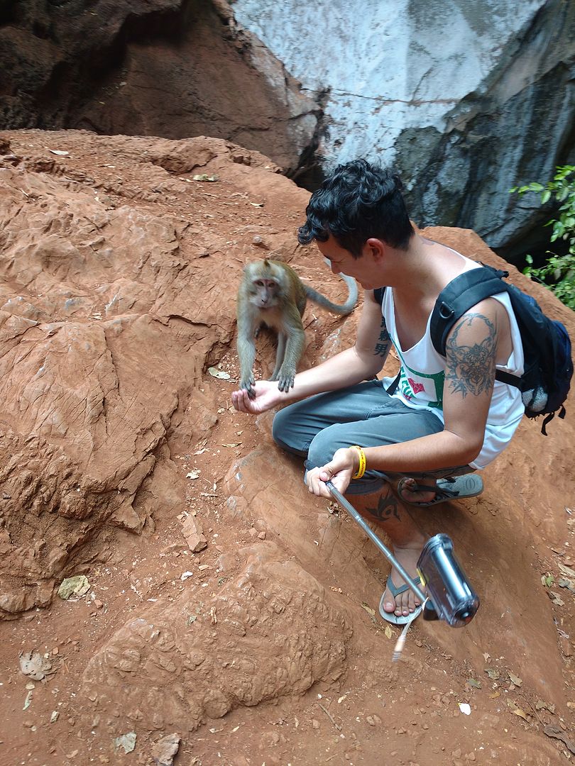 IMG_20160418_145521232?async&rand=0.8944037010752024