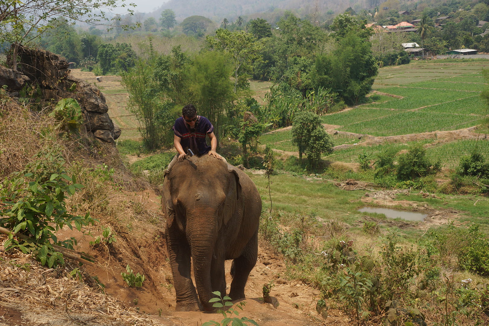 DSC06932?async&rand=0.2427044441684103