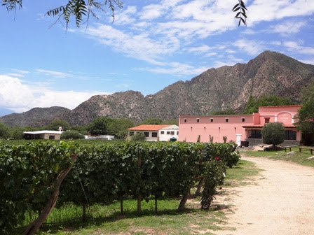 CAF-finca3.jpg