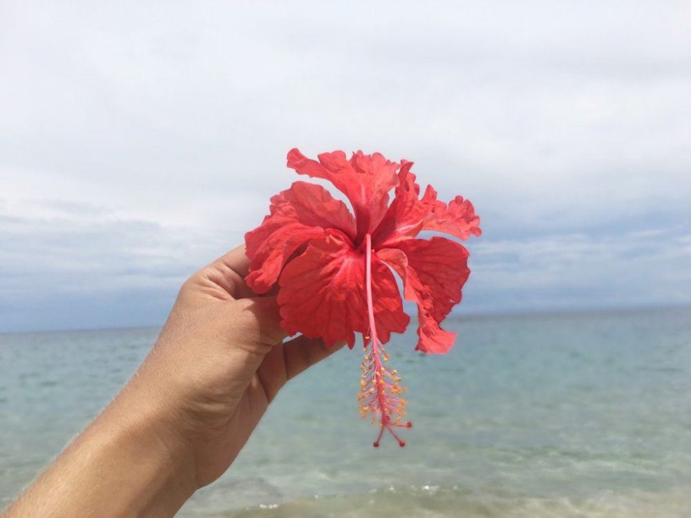 Punta Uva, Costa Rica.