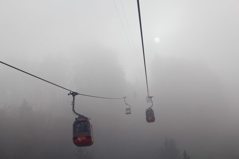 Resultado de imagem para lucerne fog