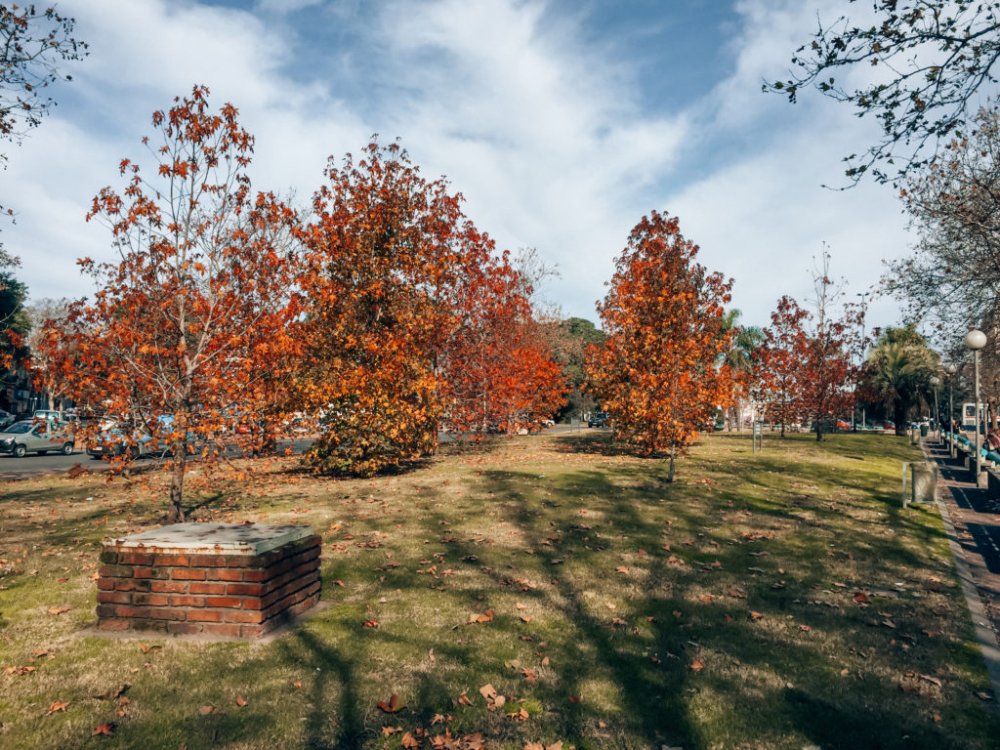 O que fazer no Uruguai (relato de viagem com gastos, dicas de passeios, restaurantes, hotéis, locomoção e cultura)