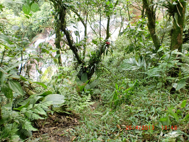 Cachoeira%2520dos%2520grampos%2520visto%2520do%2520alto%2520da%2520Trilha%2520que%2520a%2520interliga%2520com%2520a%2520da%2520fuma%25C3%25A7a.JPG