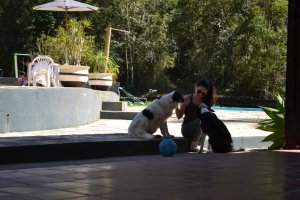 atibaia-pedra-grande-morangos-135.jpg?fi