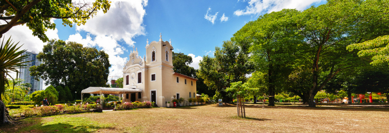 jaqueira.jpg?w=800&h=275