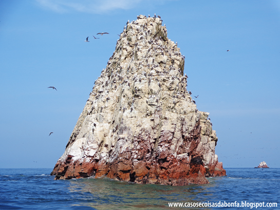 DSC07517%25255B2%25255D.png?imgmax=800