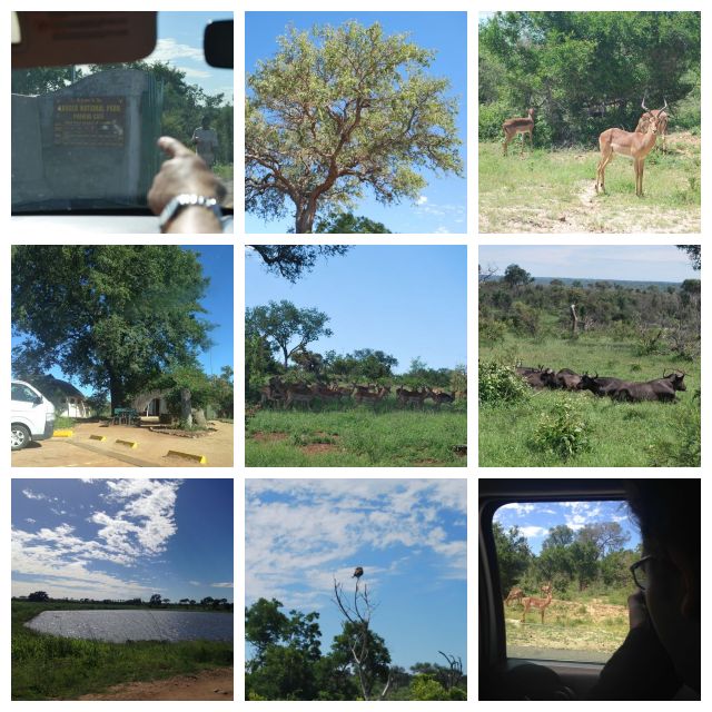 Kruger Safari Park