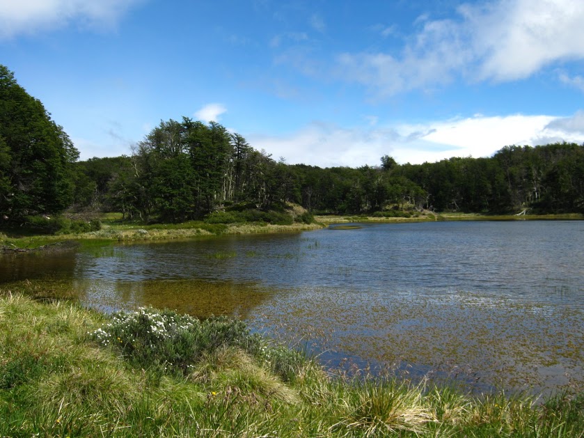 BiUNPewr6vqEo0YCVgPp43t5nbx7wrW-QSfWySA58_vmTKeCw0AHeQxIA2vorB2lWdGkOx9t0e5dvu33F7xYlIHof1oHWfkIz3n84lRlejX40SiV2HFt6S7vMu8sbNl-DtKBlBpuSu0w2ZctqAsKO__4uozaJ-o3EBOwZBDINKnblg5dOMvB9H7MfC84Nvd_nff_GAsEKF1LQc1_rkZMVKtmxc24CJryGYGpbYtPc2aa7QRemD5Olv1kSK3TvZXw7Y4uTOB3xdPrHqCCr1FuTPUVfcDaLcFRsOeSieE7KVFG5-aYNwnO6Ab00bMyxq0OBFcuzWiE_B67md6BgWtzesvXZ0dpxZkWNYcyEkOR0mM7nWbDFwpCcBGKvRN9ZEWZW5maLgIBmLkm7CrqoAVyzevCM5azcyjwLr7sJav-qMzrimNIgeyhGQF14lxBxMVyL1zV6o8MzVyOIfEdiks20vhVZOjEKks_yT5cJpXvPEV4HU4fROc3bcy4SkZs0lhdK8wa1R5QSueEfaJbt7gHx_pwJlj-HfhcLJAToJAzGHgdZRAd0_jqQqhatpg612jboODkGgNZjk-YDVxONZoO1wxhqD8WECxQStB3Ju9R=w839-h629-no