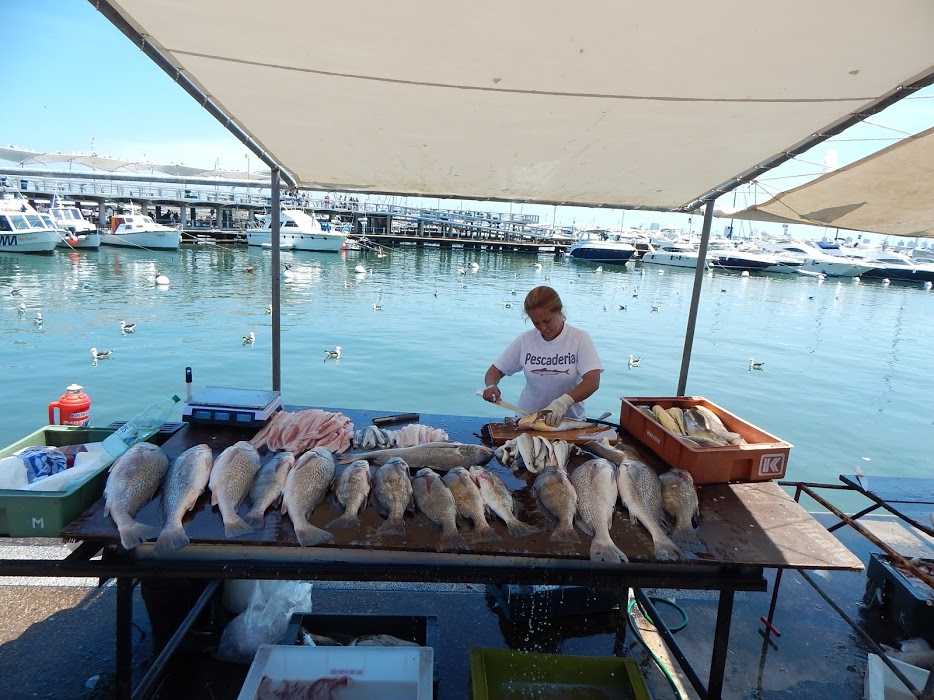 TLvleilXCMzMdqVlEU2DImIBmOez2_6D15dXsq49Zr31GvlBnstunF6_w9lXaMYuhUwgmomj_AymU12srlOxSeze2edXLvtg5jPfSUQv75rELv9vvwbPzLGHPykWAhgU4UBhQiu-otbt_CKmbXp4IIMsbWdVS3R-qaZRwHUglsyoQt0qrYTErX4RGAfbCO2K1GiJAQ82R8GiSg1UZ7cMmtowgmCO-ApmJSGR4J3cyef-gr6ZfW-3-4eAqBIZ4fLxeo484192R0Kx21xilrsEhriFg0l94-yF6UCZ7cnauEHaEEcDci69goSNuf01rq1vSEhA3RV4o5-hjqqa-kQIgZvQnPhDbLBBKhAz_oQqjaVCOfPx-Fy4_zQNPpNFNR9LFshz_W1z9qAlcr4JscDRsT3C6QChMmtw780-kpIk-vxCpHaZkw39JBx3NMPal5_maookiPlGsKs1l4N6Ck8-gWHeD6Dwc5Vl0g-KVERvn_APUE5DeEStnB4SJGfFbFy6YA8AxAdNSVvIbi-cCf3SSyUu2WrZmLwk2TW-rtUjIs-AcsADuxhiqzX9yJnvyt-4pD057_ZQQ5PoVnzGROUIk2SpAGulexSVhThxPlG1g6KVWh7bMIQh=w934-h700-no