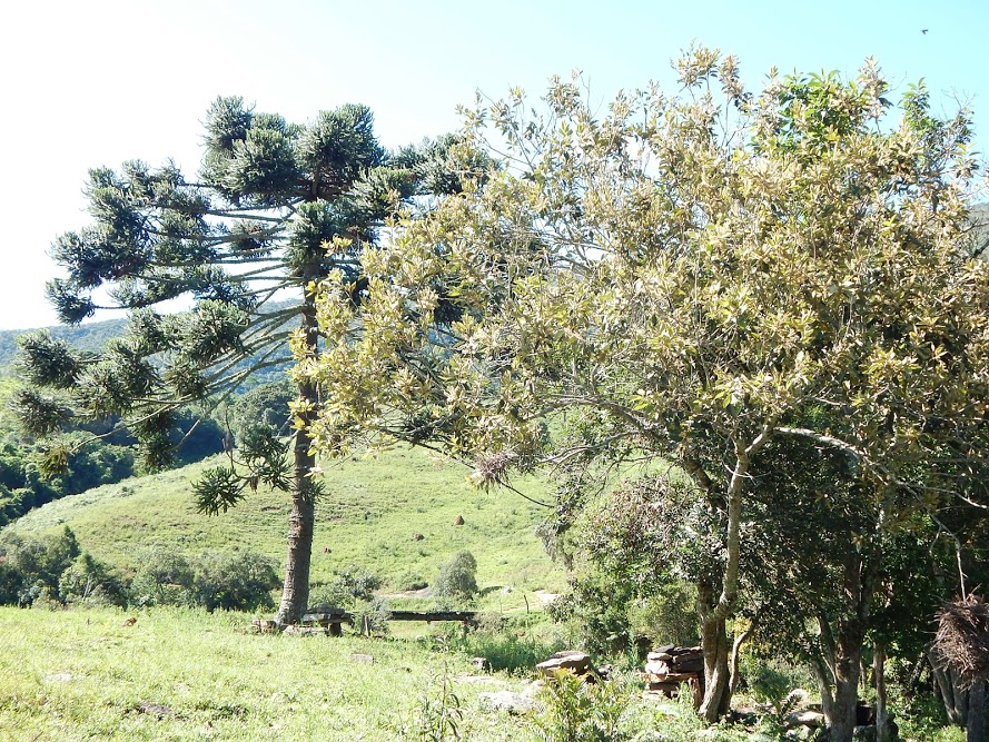 BRNgur9g5ZrOb3V_S30_zgvdIl9Z7R0zcmyWOXlWGg6_BDQuANLaRJgBPMPh23kOkT4_9ePe-391czNJ0NT2-Oja0lZnbEgMsxKsLOuyDpgShi29nQN9L47Dd49NvPl3qCKLXk3h05tMw0Fj2DZ5P5PXo812loawTgpQlacUJyf3wDTQrNj5iHwb-Xx2_oyzWh8JzX_k4OdQtVfJYleZqazYNID-1XIdw4daHpYFeHKgE_s2t6jynyg9JLtOlDUp9hXJ1rDL9A7C9G4cYlWFBf1XwBfCGFra6zRW8c0yZydEyvmRMMfJuOhv0scHC3n0DQar3aktMgjqfeFDOdqg7ZE2XywzqcF81Iz0J5Z1fQiJYK33--VnSdTfSvtxnyoK-2WK7QWbfkmRodeHFsrbUtJLHNHZWLzJ04lYCSGHTpgu0FfXCM-C3h7T04qWDpIYd4RASKgCIMyqWO_Jle9iJAI6_ZhDSMkNJlts_2Bb06CEP7Y5XtnEGYHeCLV4vBUCt7W-Gn93U7b7ofm7Pgg629_fwJ1Y5xvGm_t0ivmxLe1PRk6EBGtEcRTspg2XOy4PGTo9=w890-h667-no